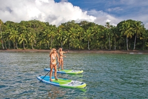 singer island paddle boards=